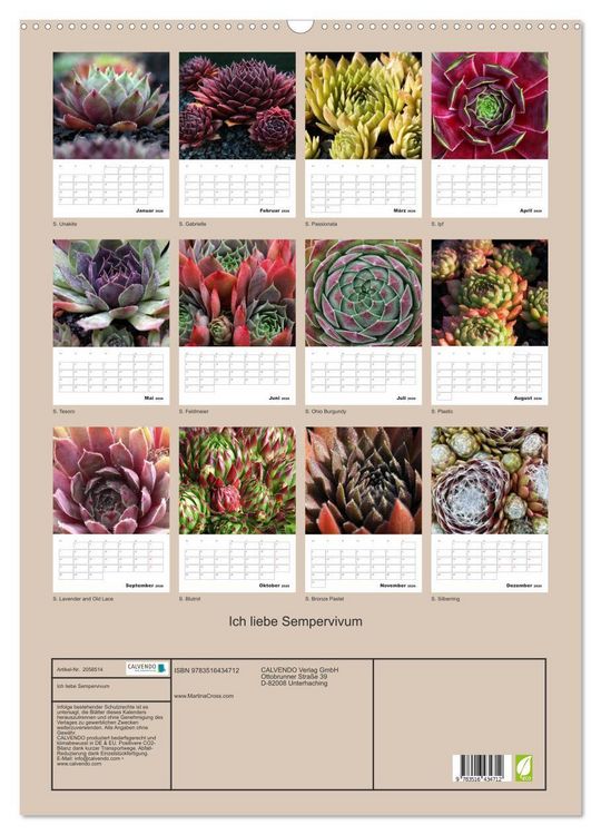 Produktbild: Ich liebe Sempervivum (Wandkalender 2026 DIN A2 hoch), CALVENDO Monatskalender