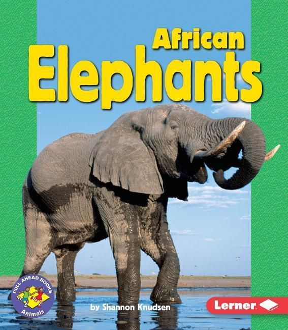 Produktbild: African Elephants