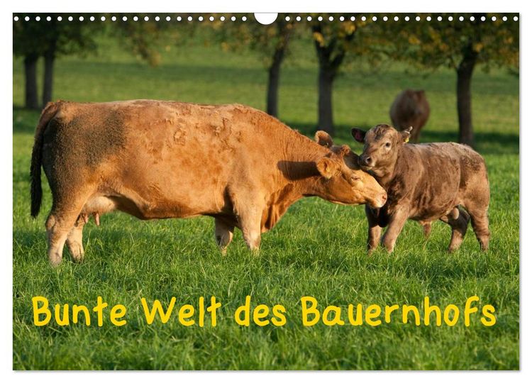 Produktbild: Bunte Welt des Bauernhofs (Wandkalender 2026 DIN A3 quer), CALVENDO Monatskalender