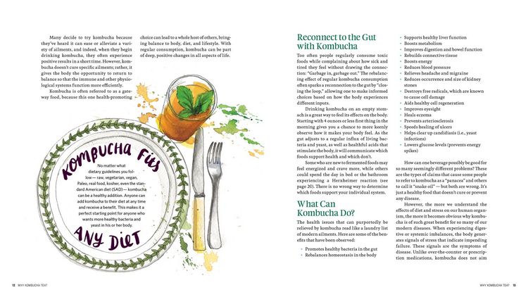 Produktbild: The Big Book of Kombucha