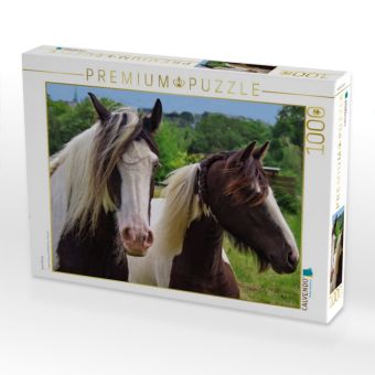 Produktbild: CALVENDO Puzzle Zwei Pferde | 1000 Teile Lege-Gr&ouml;&szlig;e 64x48cm Foto-Puzzle f&uuml;r gl&uuml;ckliche Stunden