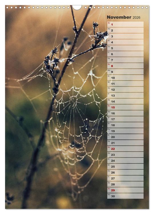 Produktbild: Kalender - Natur im Detail (Wandkalender 2026 DIN A3 hoch), CALVENDO Monatskalender