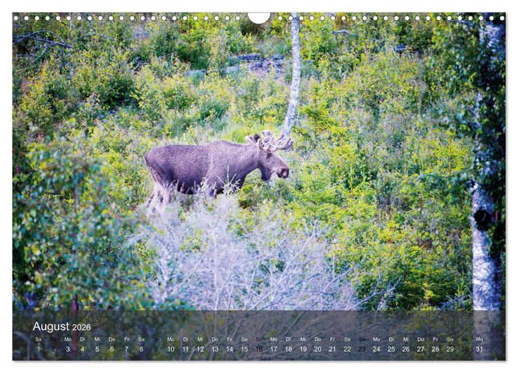 Produktbild: Traumhaftes V&auml;rmland (Wandkalender 2026 DIN A3 quer), CALVENDO Monatskalender