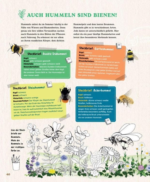 Produktbild: Bienen