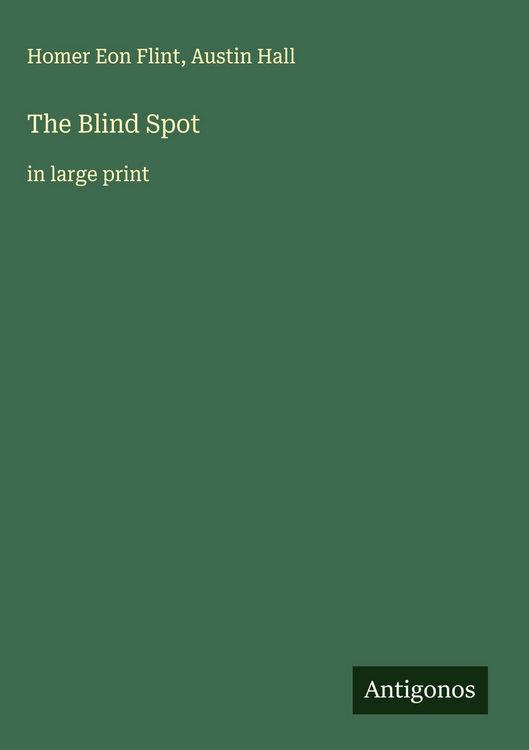 Produktbild: The Blind Spot