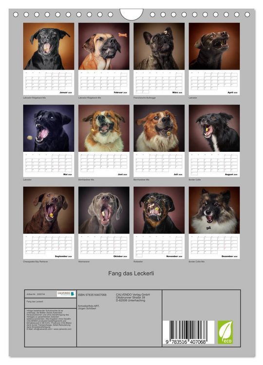 Produktbild: Fang das Leckerli (Wandkalender 2026 DIN A4 hoch), CALVENDO Monatskalender