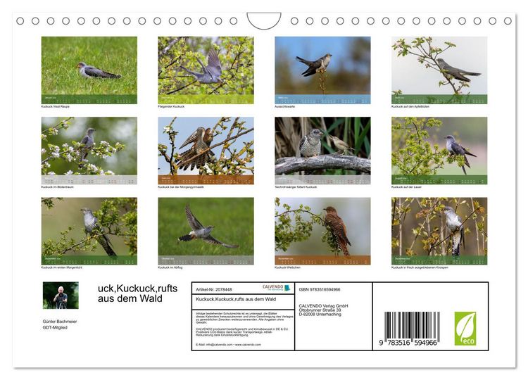 Produktbild: Kuckuck,Kuckuck,rufts aus dem Wald (Wandkalender 2026 DIN A4 quer), CALVENDO Monatskalender