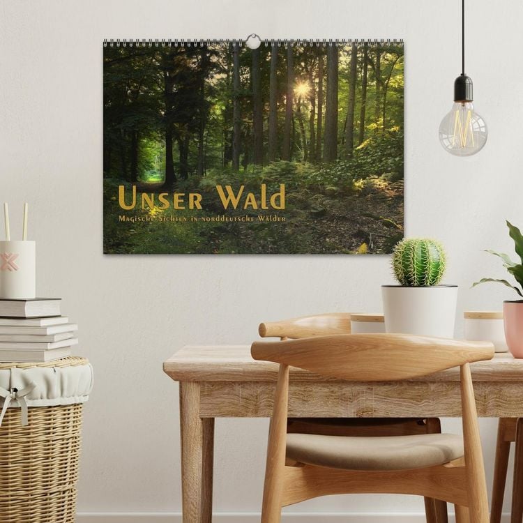 Produktbild: Unser Wald - Magische Sichten in norddeutsche W&auml;lder / Geburtstagskalender (Wandkalender 2026 DIN A3 quer), CALVENDO Monatskalender