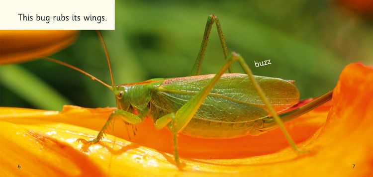 Produktbild: Buzz, Hop, Zip!