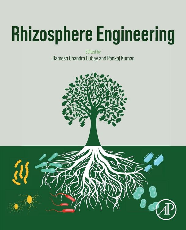 Produktbild: Rhizosphere Engineering