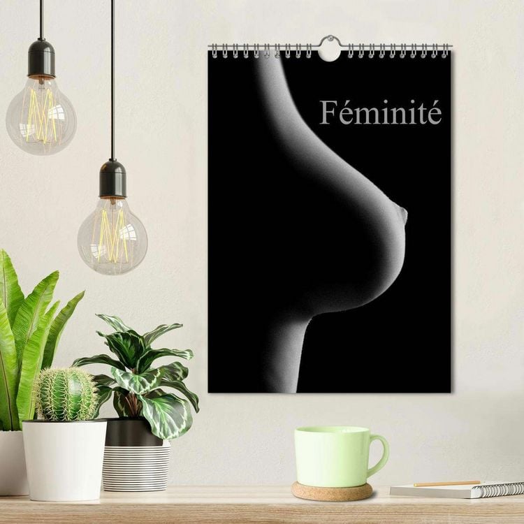 Produktbild: F&eacute;minit&eacute; (Calendrier mural 2026 DIN A4 horizontal), CALVENDO calendrier mensuel
