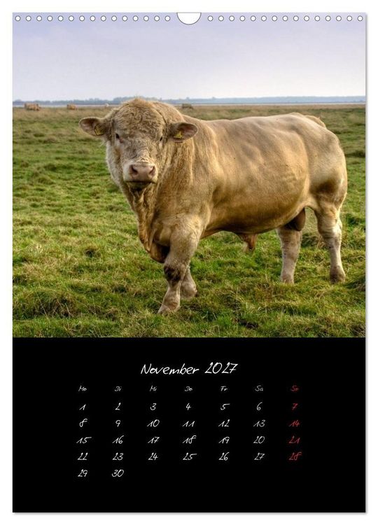 Produktbild: Tiere (Wandkalender 2027 DIN A3 hoch), CALVENDO Monatskalender