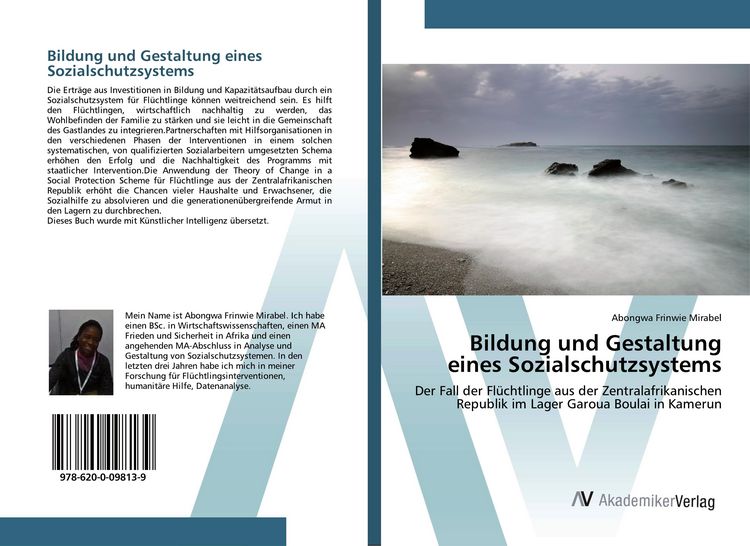 Produktbild: Bildung und Gestaltung eines Sozialschutzsystems