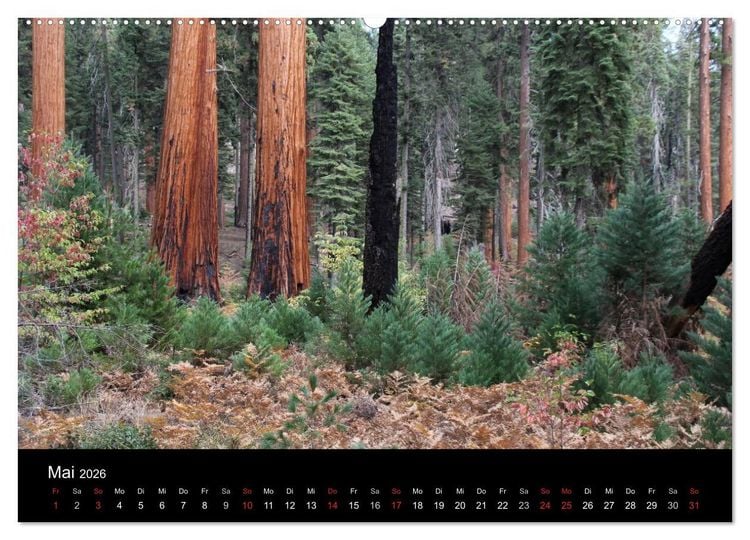 Produktbild: Kalifornien 2026 (hochwertiger Premium Wandkalender 2026 DIN A2 quer), Kunstdruck in Hochglanz