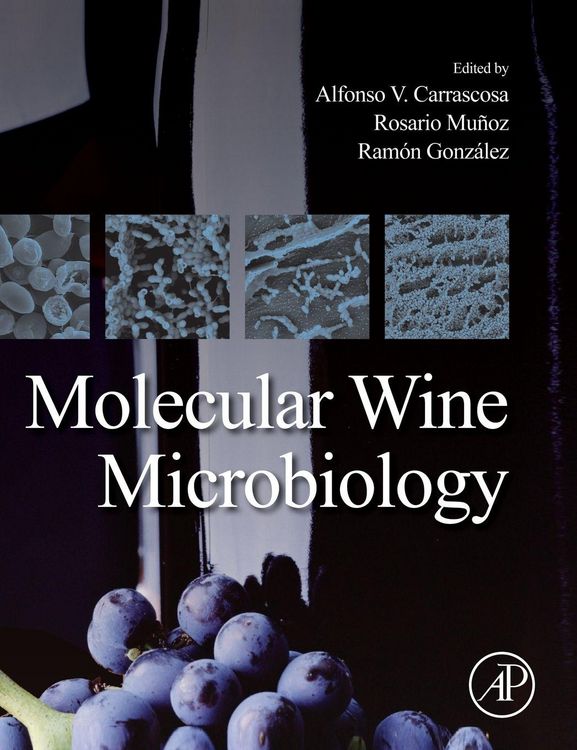 Produktbild: Molecular Wine Microbiology