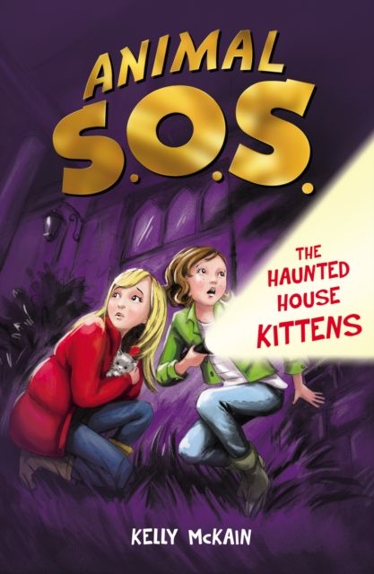 Produktbild: McKain, K: The Haunted House Kittens