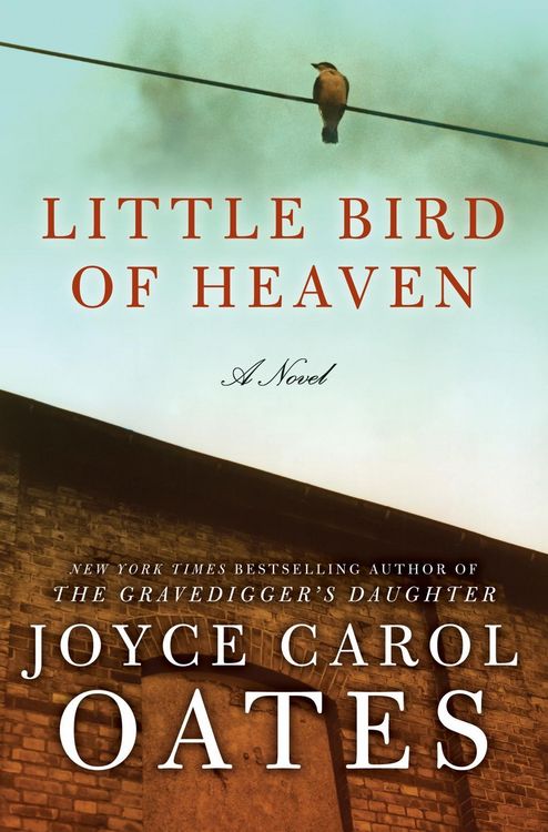 Produktbild: Little Bird of Heaven