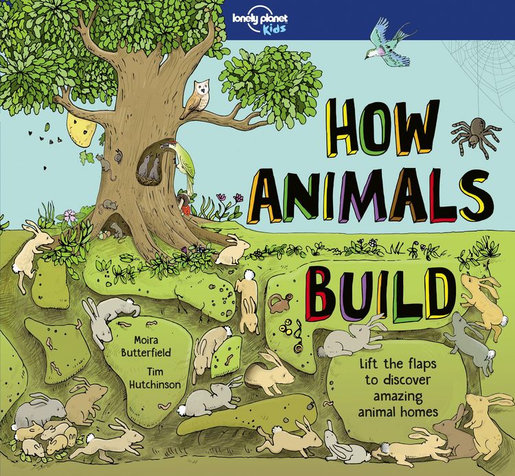 Produktbild: Lonely Planet Kids How Animals Build