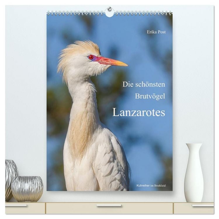 Produktbild: Die sch&ouml;nsten Brutv&ouml;gel Lanzarotes (hochwertiger Premium Wandkalender 2027 DIN A2 hoch), Kunstdruck in Hochglanz