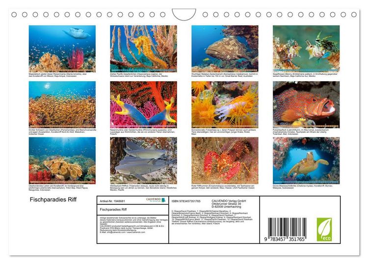Produktbild: Fischparadies Riff (Wandkalender 2026 DIN A4 quer), CALVENDO Monatskalender