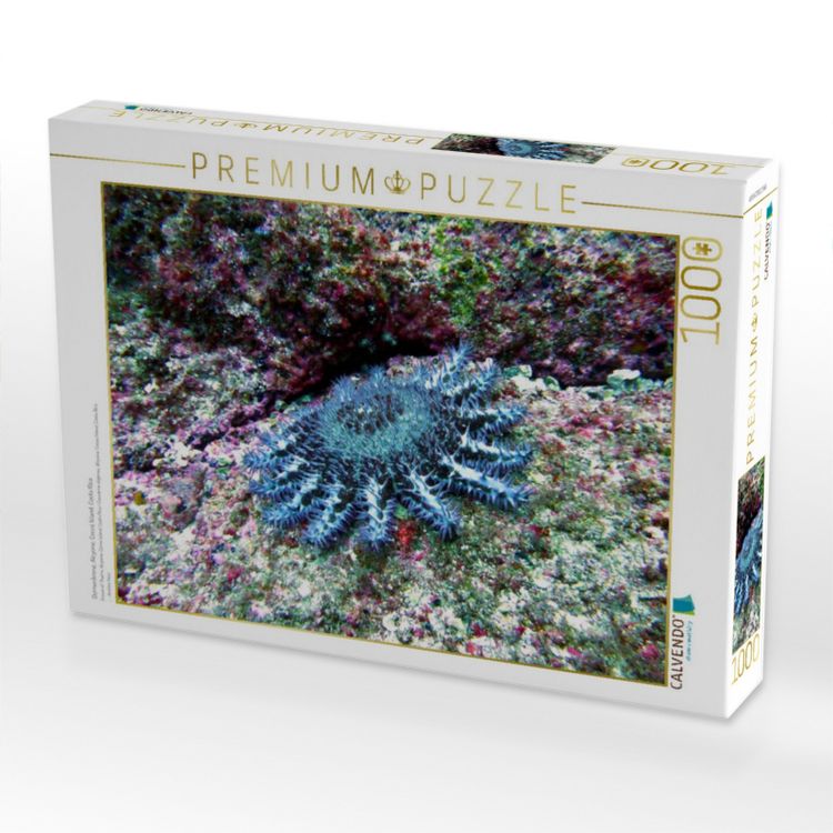 Produktbild: CALVENDO Puzzle Dornenkrone, Alcyone, Cocos Island, Costa Rica | 1000 Teile Lege-Gr&ouml;&szlig;e 64x48cm Foto-Puzzle f&uuml;r gl&uuml;ckliche Stunden