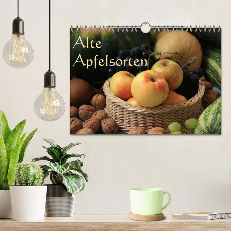 Produktbild: Alte Apfelsorten (Wandkalender 2026 DIN A4 quer), CALVENDO Monatskalender