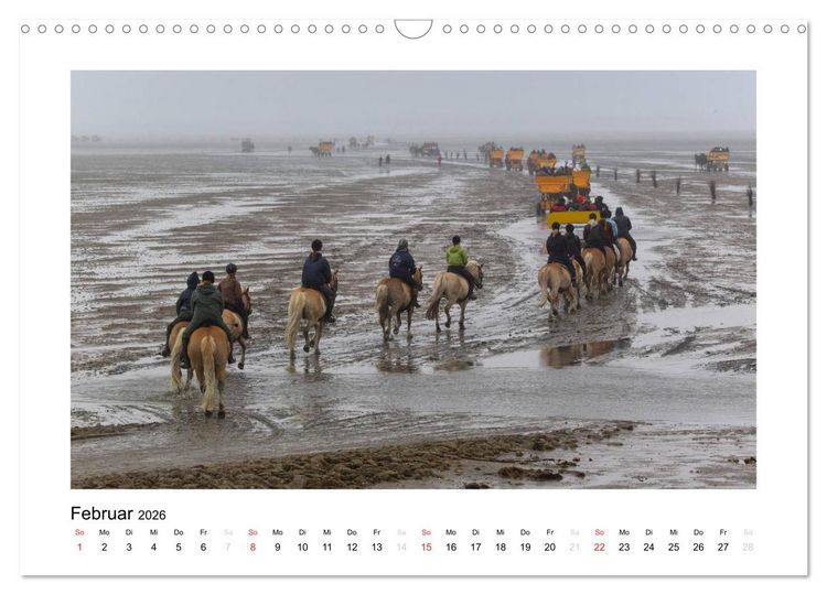 Produktbild: Die sch&ouml;ne Insel Neuwerk (Wandkalender 2026 DIN A3 quer), CALVENDO Monatskalender