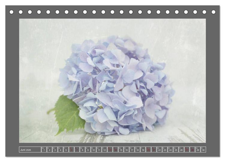 Produktbild: Blumen f&uuml;r dich (Tischkalender 2026 DIN A5 quer), CALVENDO Monatskalender