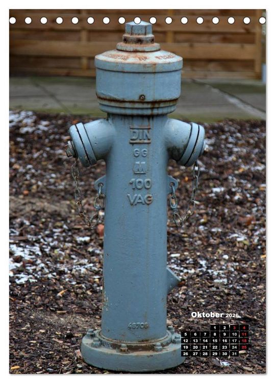 Produktbild: Nostalgie Hydranten (Tischkalender 2026 DIN A5 hoch), CALVENDO Monatskalender