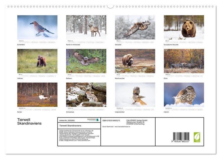 Produktbild: Tierwelt Skandinaviens (hochwertiger Premium Wandkalender 2026 DIN A2 quer), Kunstdruck in Hochglanz