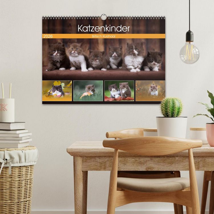 Produktbild: Katzenkinder - Britisch Kurzhaar (Wandkalender 2026 DIN A3 quer), CALVENDO Monatskalender