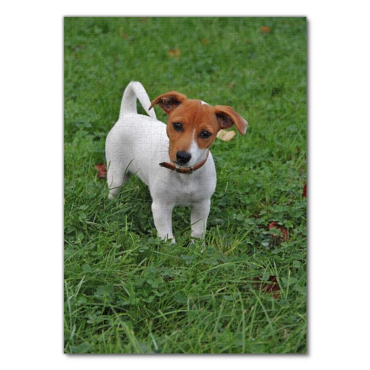 Produktbild: Lais Puzzle Jack Russell Terrier 1000 Teile