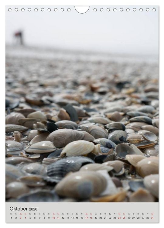 Produktbild: Ameland Wundersch&ouml;ne Insel (Wandkalender 2026 DIN A4 hoch), CALVENDO Monatskalender