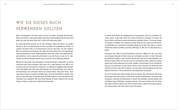Produktbild: Der Anti-Stress-Plan