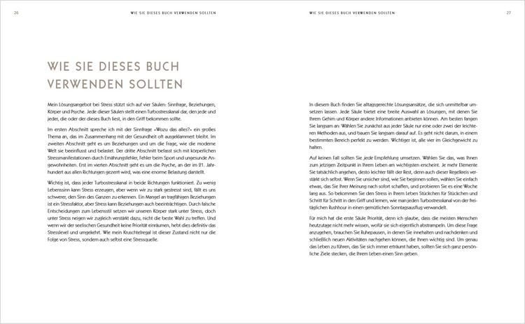 Produktbild: Der Anti-Stress-Plan