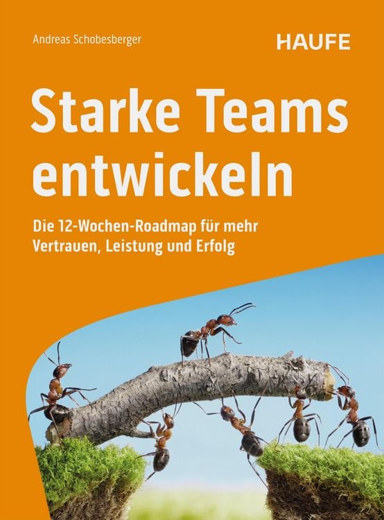 Produktbild: Starke Teams entwickeln
