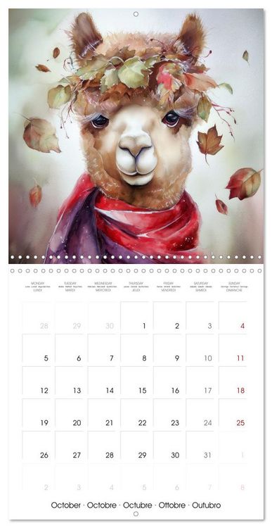 Produktbild: Alpagas du c&oelig;ur (Calendrier mural carr&eacute; 2026 30x30 cm) Calendrier double avec une page pour vos prises de notes