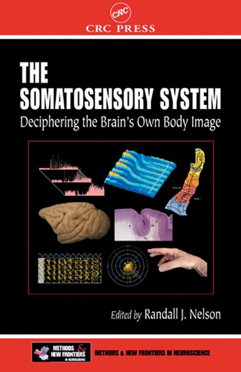 Produktbild: The Somatosensory System