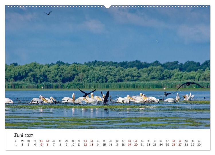 Produktbild: Donau-Delta (hochwertiger Premium Wandkalender 2027 DIN A2 quer), Kunstdruck in Hochglanz