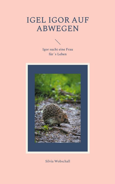 Produktbild: Igel Igor auf Abwegen