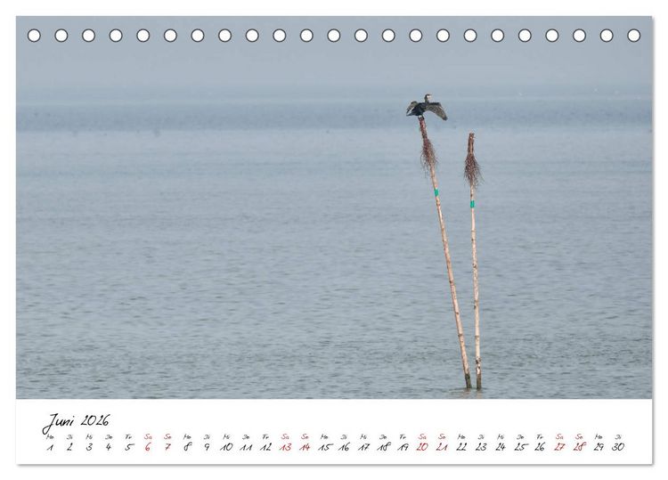 Produktbild: Naturpark Wattenmeer und Helgoland (Tischkalender 2026 DIN A5 quer), CALVENDO Monatskalender
