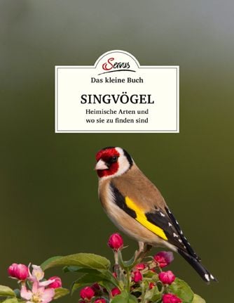 Produktbild: Das kleine Buch: Singvögel