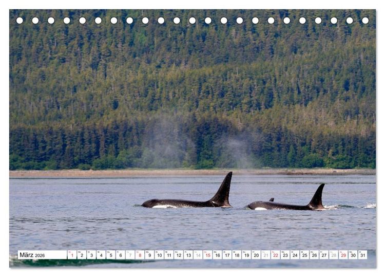 Produktbild: Alaska - Lockruf der Wildnis (Tischkalender 2026 DIN A5 quer), CALVENDO Monatskalender
