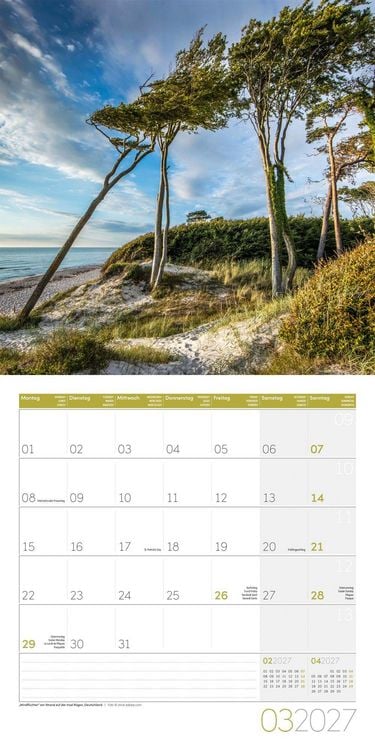 Produktbild: B&auml;ume Kalender 2027 - 30x30 - Art12