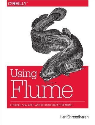 Produktbild: Using Flume