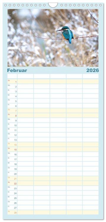 Produktbild: Familienplaner 2026 - Eisvogel im Portr&auml;t mit 5 Spalten (Wandkalender, 21 x 45 cm) CALVENDO