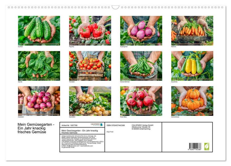 Produktbild: Mein Gem&uuml;segarten - Ein Jahr knackig frisches Gem&uuml;se (Wandkalender 2026 DIN A2 quer), CALVENDO Monatskalender