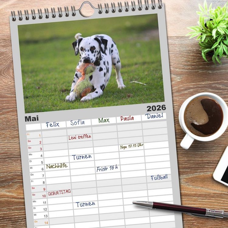 Produktbild: Familienplaner 2026 - Gefleckte Freunde - Hunderasse Dalmatiner mit 5 Spalten (Wandkalender, 21 x 45 cm) CALVENDO