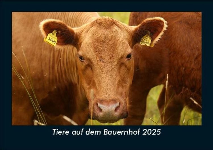 Produktbild: Tiere auf dem Bauernhof 2025 Fotokalender DIN A5