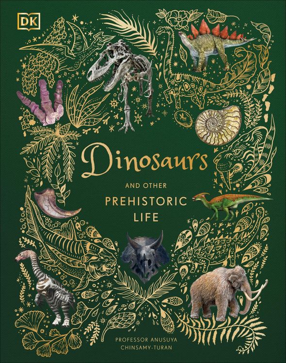 Produktbild: Dinosaurs and Other Prehistoric Life